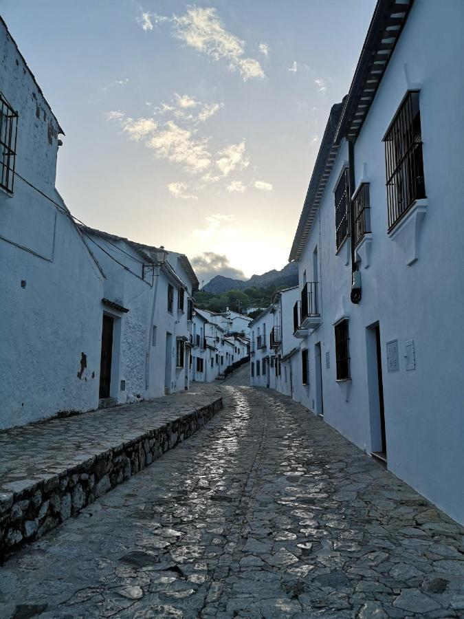 Apto Rural Fuente El Chorrito De Grazalema Eksteriør billede